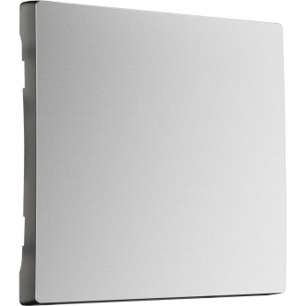 Клавиша WERKEL W1119065 для выключателя перекрестного (серебряный матовый) Клавиша WERKEL W1119065 для выключателя перекрестного (серебряный матовый)