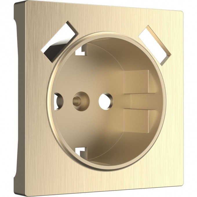 Накладка WERKEL WL10-USB-CP для розетки USB (шампань рифленый) a037014 Накладка WERKEL WL10-USB-CP для розетки USB (шампань рифленый) a037014