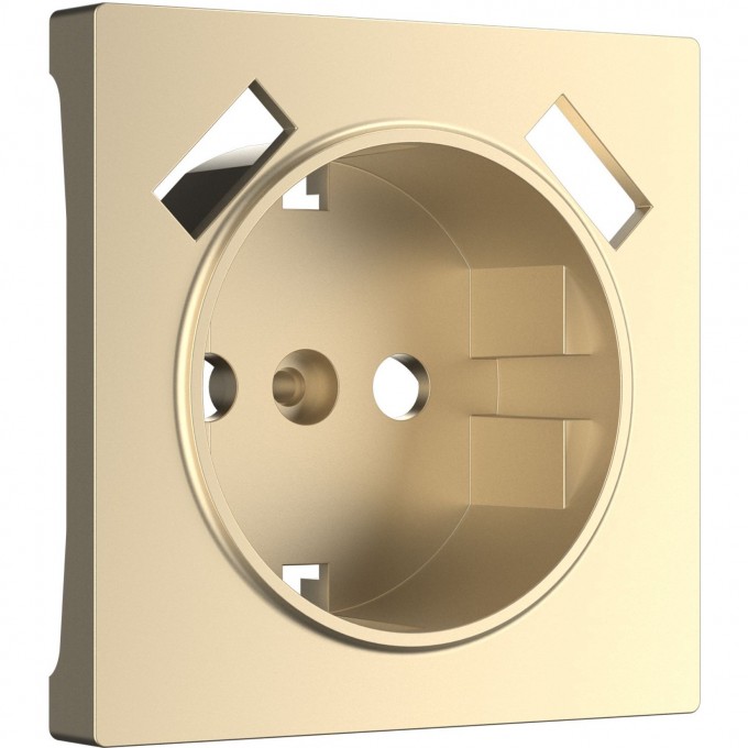 Накладка WERKEL WL11-USB-CP для USB розетки (шампань) a040926 Накладка WERKEL WL11-USB-CP для USB розетки (шампань) a040926