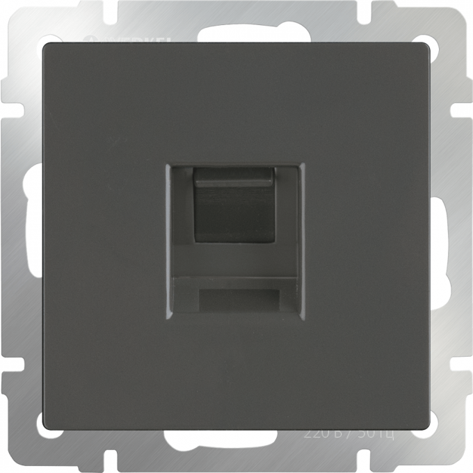 Розетка Ethernet RJ-45 WERKEL W1181007 серо-коричневый a050851 Розетка Ethernet RJ-45 WERKEL W1181007 серо-коричневый a050851