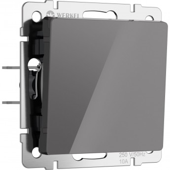 Выключатель одноклавишный WERKEL W1110044 (графит акрил) Выключатель одноклавишный WERKEL W1110044 (графит акрил)