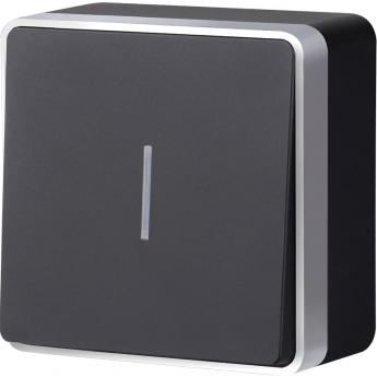 Выключатель WERKEL одноклавишный с подсветкой Gallant черный с серебром W5010134