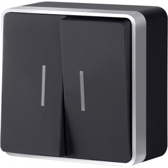 Выключатель WERKEL W5020134 двухклавишный с подсветкой Gallant черный с серебром